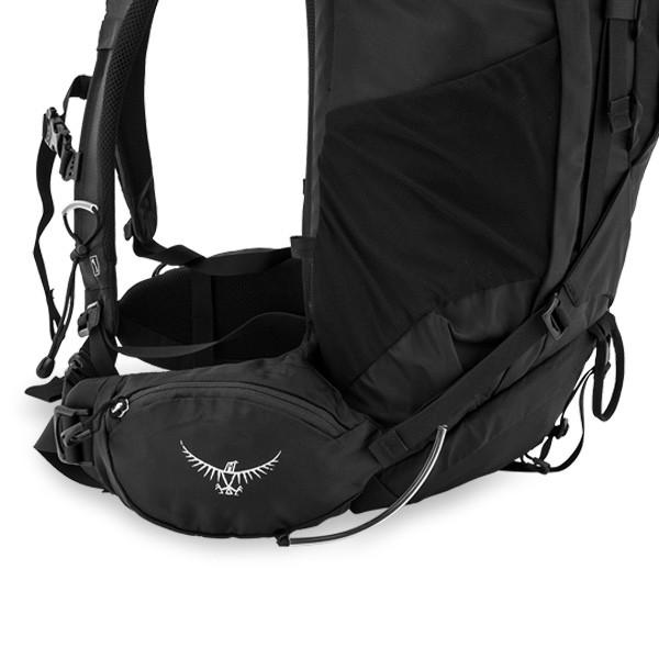 月末限定ポイントUP 【並行輸入品】 オスプレー Osprey バックパック ケストレル 38 ザック リュックサック アウトドア | OSPREY | 19