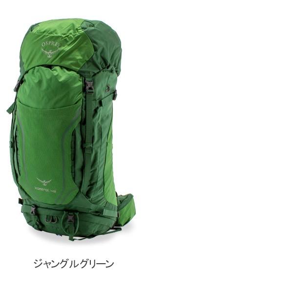 【並行輸入品】 オスプレー ザック ケストレル 48 Kestrel バックパック リュックサック トレッキング 登山 アウトドア メンズ 旅行 テクニカル パック | OSPREY | 04