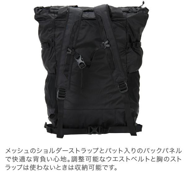 パタゴニア PATAGONIA 2Way トート リュック ライトウェイト・トラベル・トート・パック 22L トートバッグ バックパック 2way 48808｜glv｜07