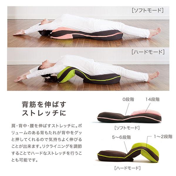背筋がGUUUN 美姿勢座椅子 リッチ 腰痛 座椅子 クッション カバー付き 洗濯可 腰痛対策 姿勢矯正 背筋がguuun 背すじがguuun 椅子 姿勢 猫背 |  | 18