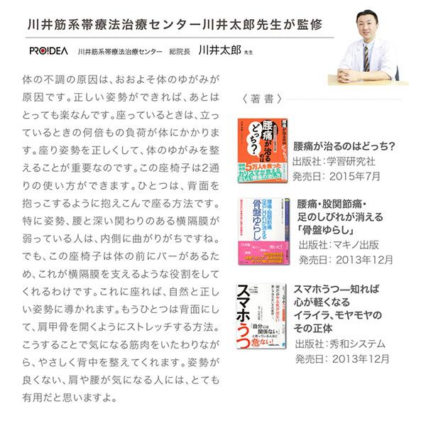 背筋がGUUUN 美姿勢座椅子 リッチ 腰痛 座椅子 クッション カバー付き 洗濯可 腰痛対策 姿勢矯正 背筋がguuun 背すじがguuun 椅子 姿勢 猫背 |  | 21