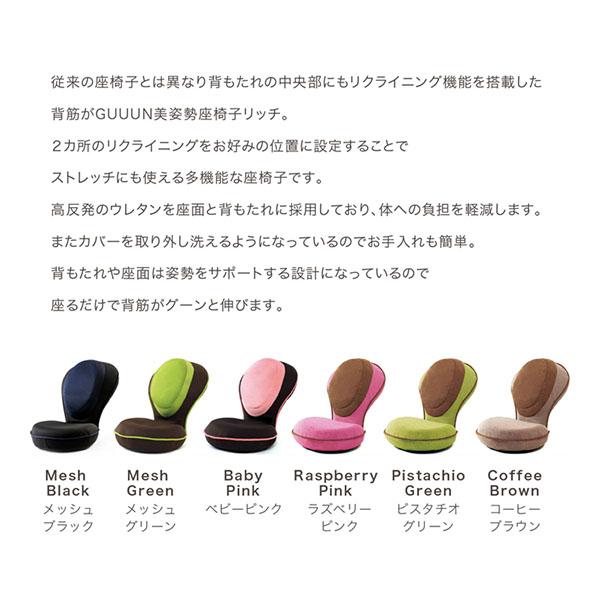 背筋がGUUUN 美姿勢座椅子 リッチ 腰痛 座椅子 クッション カバー付き 洗濯可 腰痛対策 姿勢矯正 背筋がguuun 背すじがguuun 椅子 姿勢 猫背 |  | 09