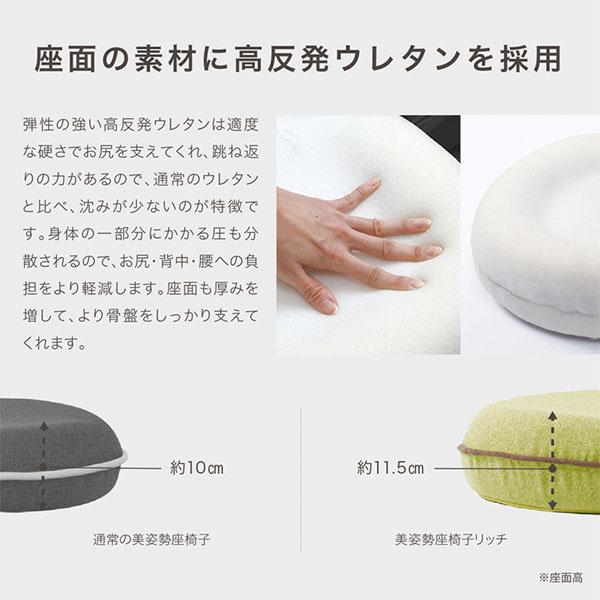 背筋がGUUUN 美姿勢座椅子 リッチ 腰痛 座椅子 クッション カバー付き 洗濯可 腰痛対策 姿勢矯正 背筋がguuun 背すじがguuun 椅子 姿勢 猫背 |  | 11