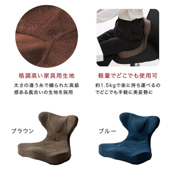 PROIDEA（プロイデア） 馬具マットプレミアムアドバンス 座椅子 腰もお
