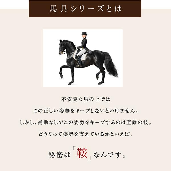 PROIDEA（プロイデア） 馬具マットプレミアムアドバンス 座椅子 腰もお