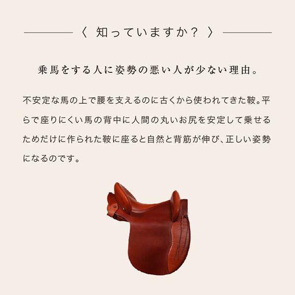 PROIDEA（プロイデア） 馬具マットプレミアムアドバンス 座椅子 腰もお
