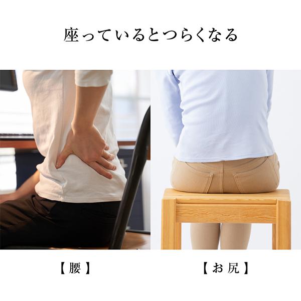 PROIDEA（プロイデア） 馬具マットプレミアムアドバンス 座椅子 腰もお