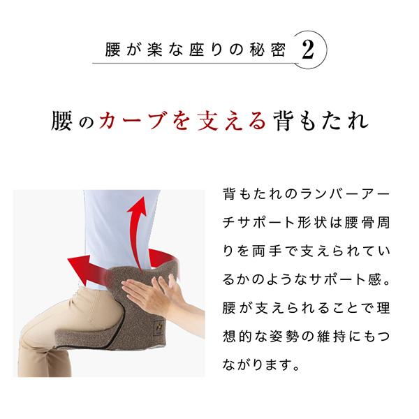 馬具マットプレミアムアドバンス 座椅子 腰もお尻も楽に座れる 快適 馬具マット 姿勢維持 猫背 椅子 母の日 父の日 | PROIDEA | 10