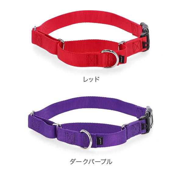 PetSafe 連休中も休まず配送 【並行輸入品】 ペットセーフ 首輪