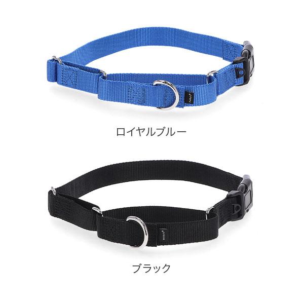 PetSafe 【並行輸入品】 ペットセーフ 首輪 ナイロンマーチンゲール S