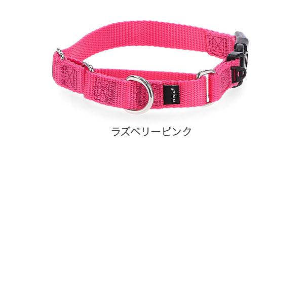 PetSafe 連休中も休まず配送 【並行輸入品】 ペットセーフ 首輪