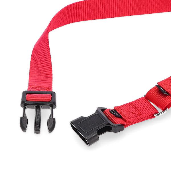 PetSafe 連休中も休まず配送 【並行輸入品】 ペットセーフ 首輪
