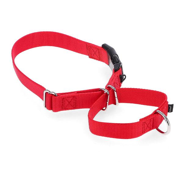 PetSafe 【並行輸入品】 ペットセーフ 首輪 ナイロンマーチンゲール L