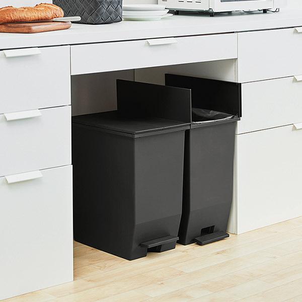 RISU（リス） ソロウ SOLOW ゴミ箱 2個セット ごみ箱 ダストボックス