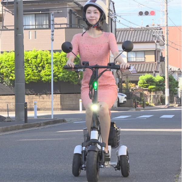 Sun Emperor 特定小型原動機付自転車 SUNRIN サンエンペラー サンリン
