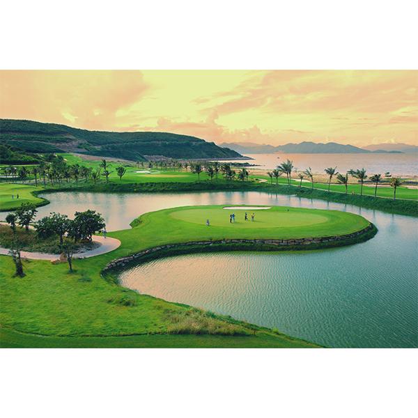 【並行輸入品】 トルネードティー Tornado Tee ドラコン ゴルフ ティー 5本入り 3.25インチ ゴルフティー 3.25" |  | 06