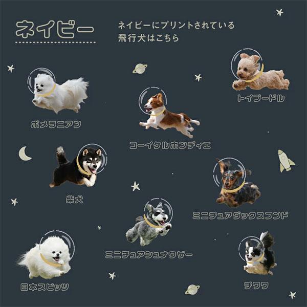 Wpc. 連休中も休まず配送 ダブリュピーシー 折りたたみ傘 飛行犬×Wpc