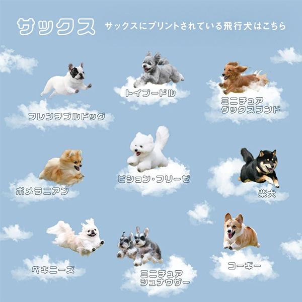 Wpc. 折りたたみ日傘 飛行犬×Wpc. 空飛ぶ遮光ワンブレラmini 晴雨兼用 折りたたみ傘 折り畳み傘 完全遮光 Wpc | Wpc. | 13