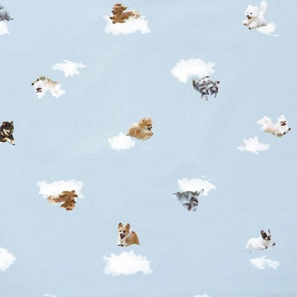 Wpc. 折りたたみ日傘 飛行犬×Wpc. 空飛ぶ遮光ワンブレラmini 晴雨兼用 折りたたみ傘 折り畳み傘 完全遮光 Wpc | Wpc. | 15