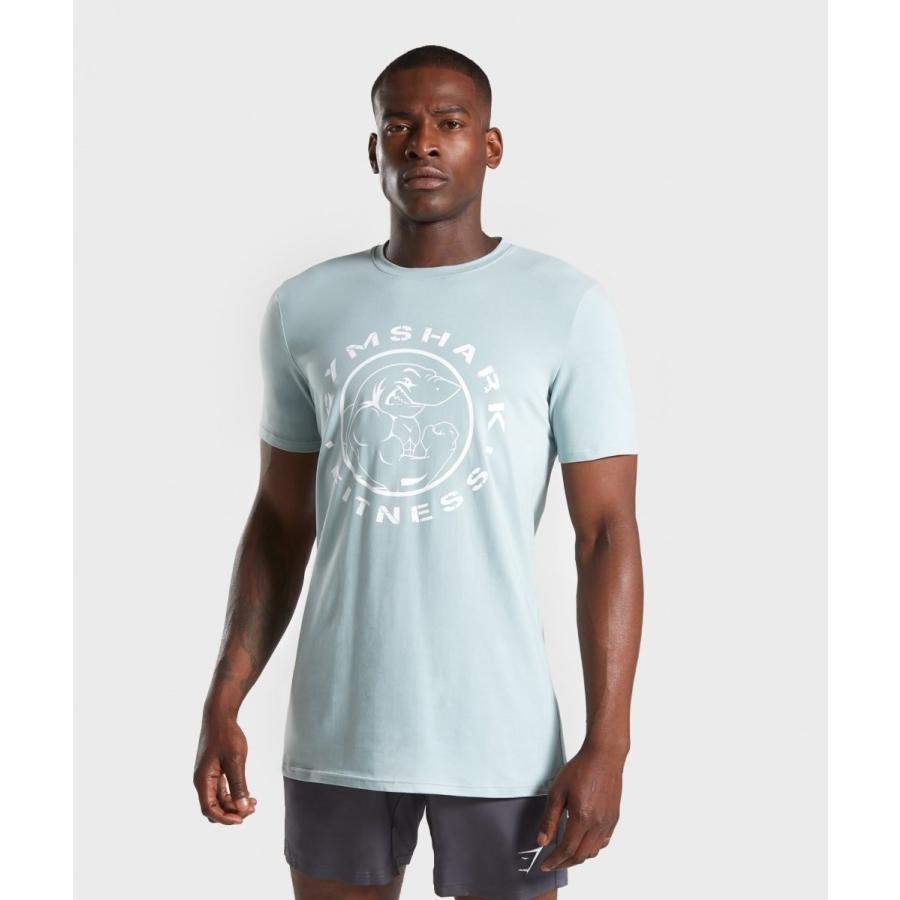 ジムシャーク Gymshark LEGACY T-SHIRT 半袖シャツ : GMボディメイク