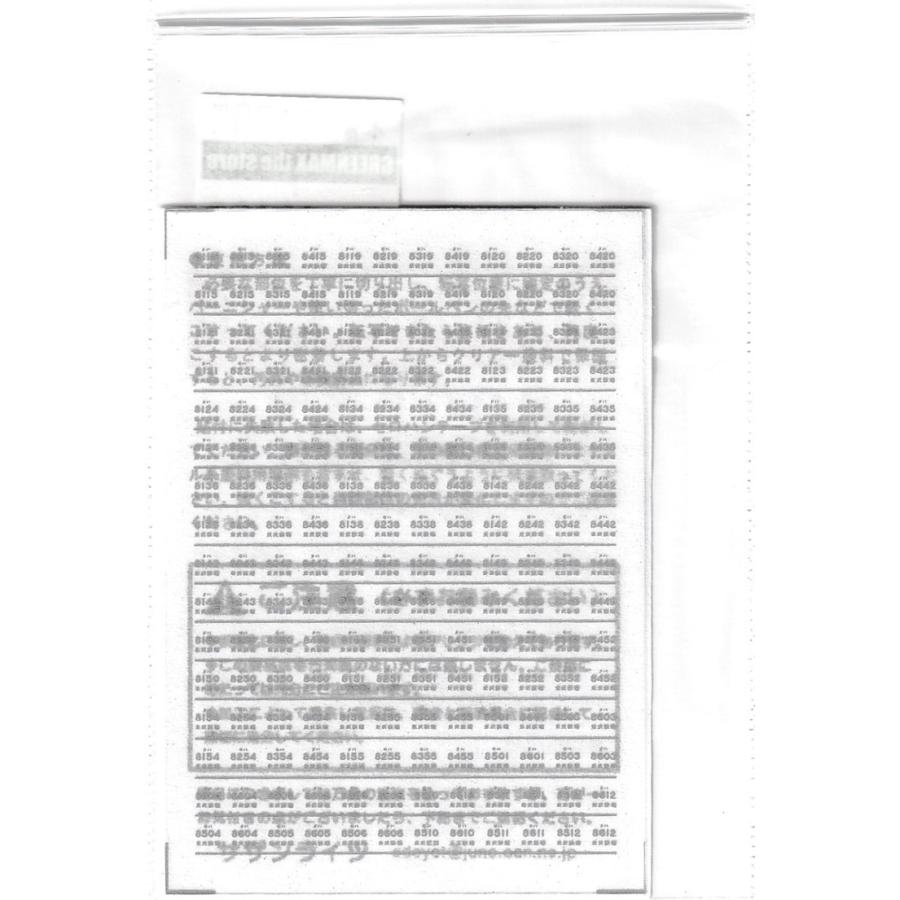 サザンライツ N-8402 8000系用ナンバーインレタ マットシルバー