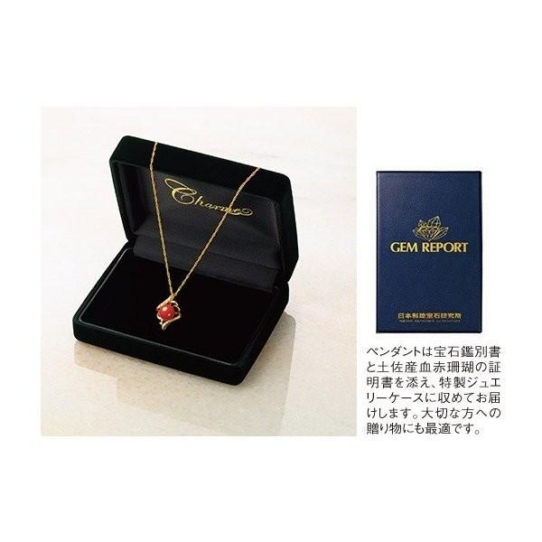 本血赤珊瑚バラ、ネックレス等　50g 東Y7-0812⭐︎2Fタエチ 本血赤珊瑚バラ、ネックレス等 50g 東Y7-0812⭐︎2Fタエチ 楽天