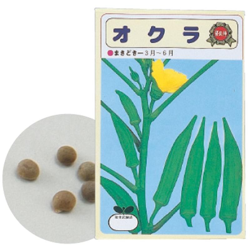 野菜の種 オクラ 理科教材 備品 : 美容コスメ雑貨 コネクト - 通販