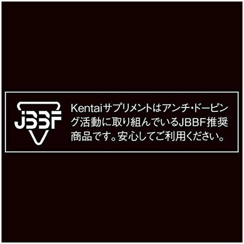 Kentai ケンタイ NEWウェイトゲイン アドバンス ミルクチョコ 3kg