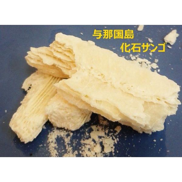 どなん　与那国島・化石サンゴの肥料　1ｋｇ×2個セット　ミネラル豊富な土壌に　土壌改良剤 |  | 03