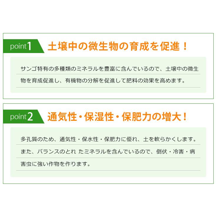 どなん　与那国島・化石サンゴの肥料　1ｋｇ×2個セット　ミネラル豊富な土壌に　土壌改良剤 |  | 05