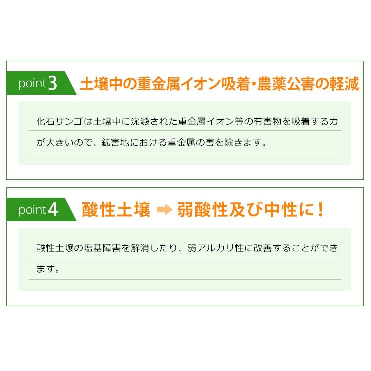 どなん　与那国島・化石サンゴの肥料　1ｋｇ×2個セット　ミネラル豊富な土壌に　土壌改良剤 |  | 06