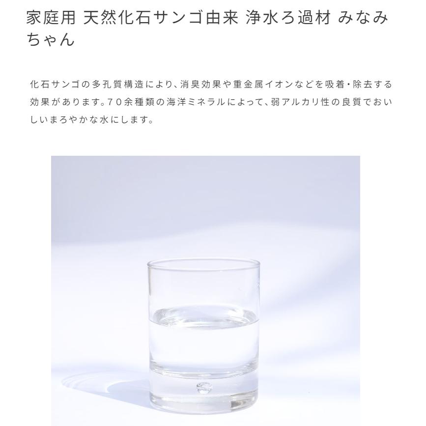 みなみちゃん　与那国島・化石サンゴ浄水ろ過剤　400グラム |  | 02