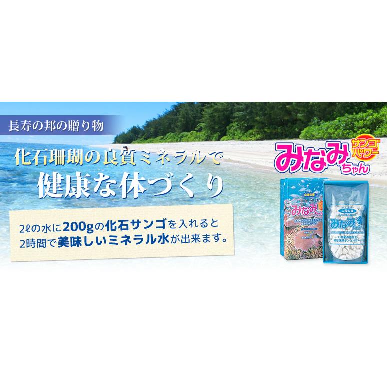 みなみちゃん 与那国島・化石サンゴ浄水ろ過剤 400グラム : GMドット