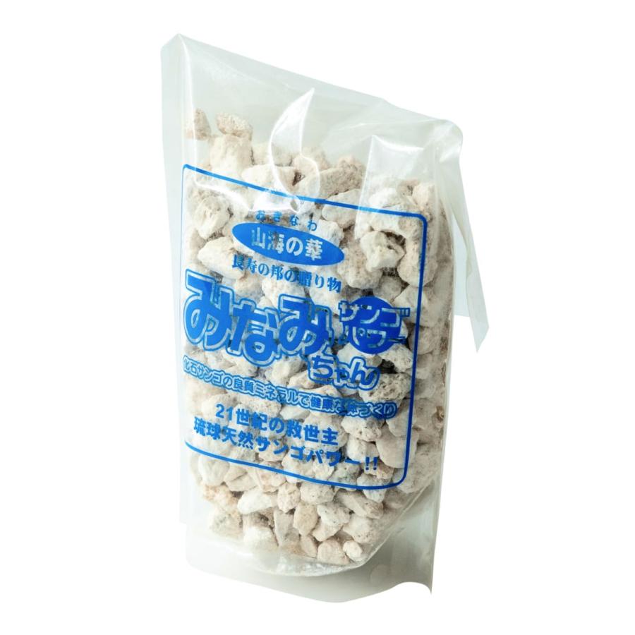 みなみちゃん 与那国島・化石サンゴ浄水ろ過剤 400グラム : GMドット