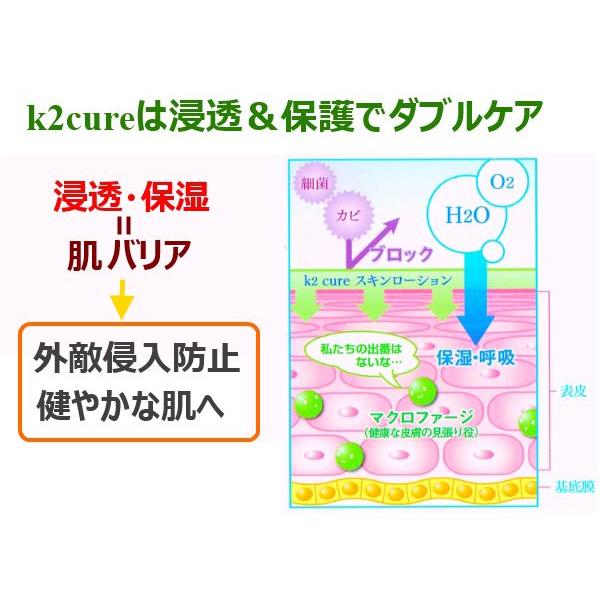 ｋ2ｃｕｒｅ　保湿スキンローション　プレシャンハンド　ST　300ｍｌ　業務用　ケイツーキュア　しっとりタイプ　preshamp hands ST｜gmimport｜05