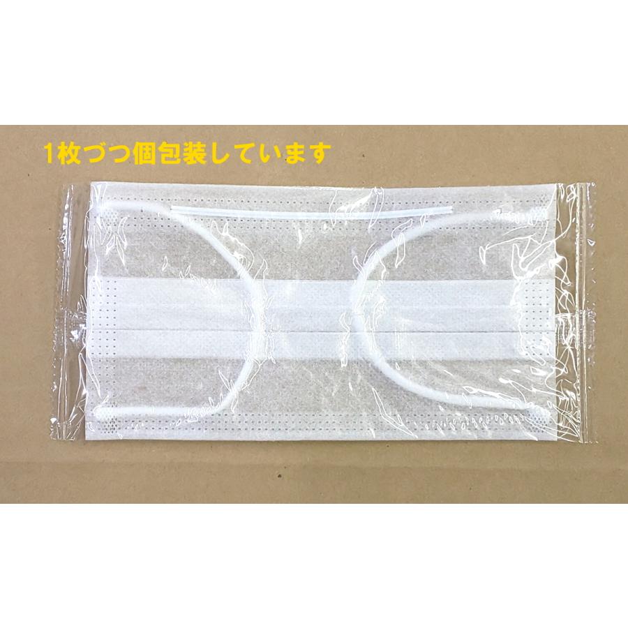 二層マスク　50枚　個包装　作業用　息がしやすい　涼しいマスク　工場用　薄手のマスク　使い捨てマスク |  | 06