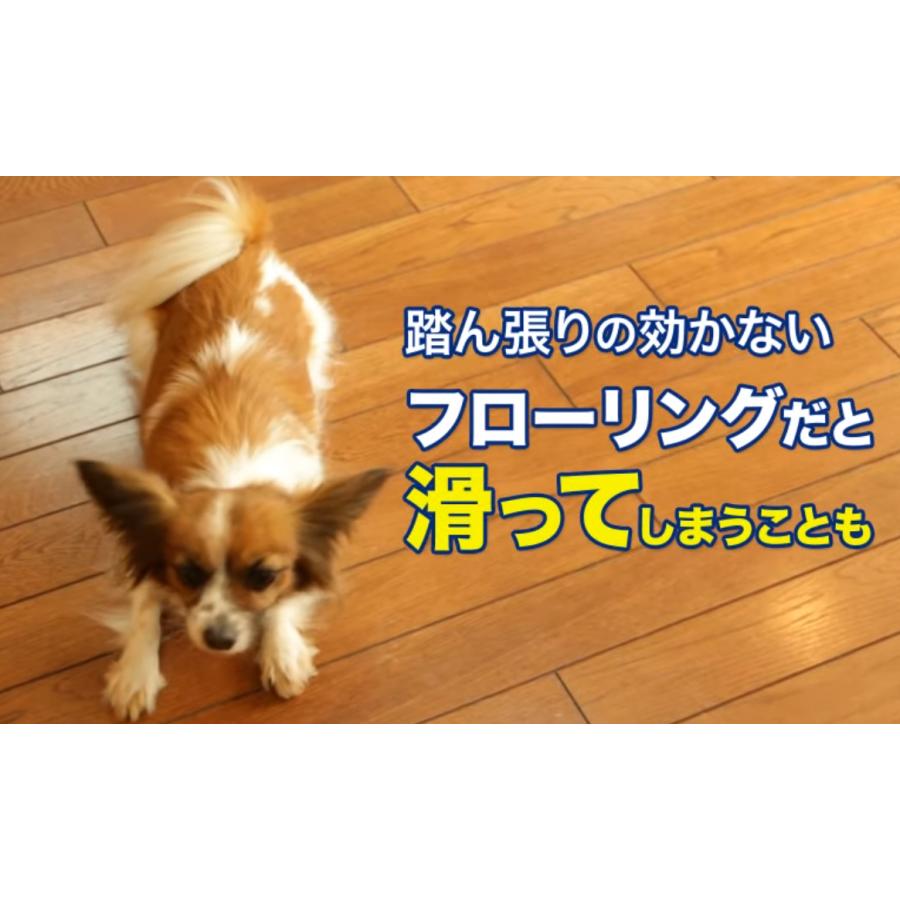 室内犬のためのすべり止め床コーティング剤とオールワックスワイパーのセット　立ったままワイパー派　リンレイ |  | 02