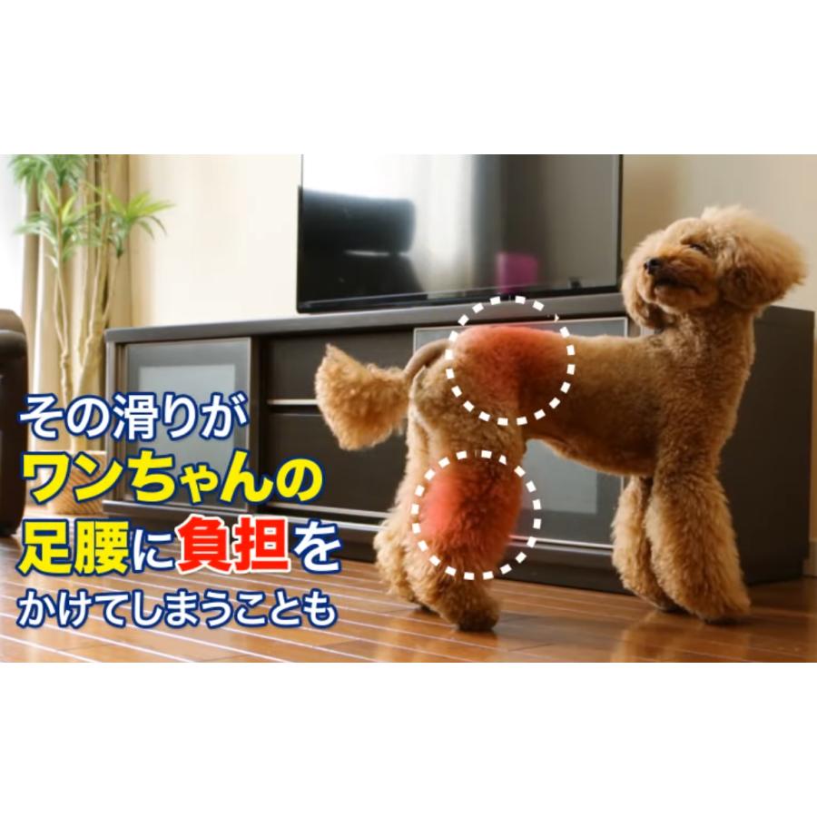 室内犬のためのすべり止め床コーティング剤とオールワックスワイパーのセット　立ったままワイパー派　リンレイ |  | 03