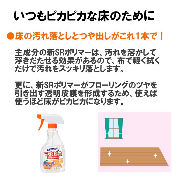 大掃除洗剤セット】 大掃除はこれで万全 プロ仕様の強力洗剤