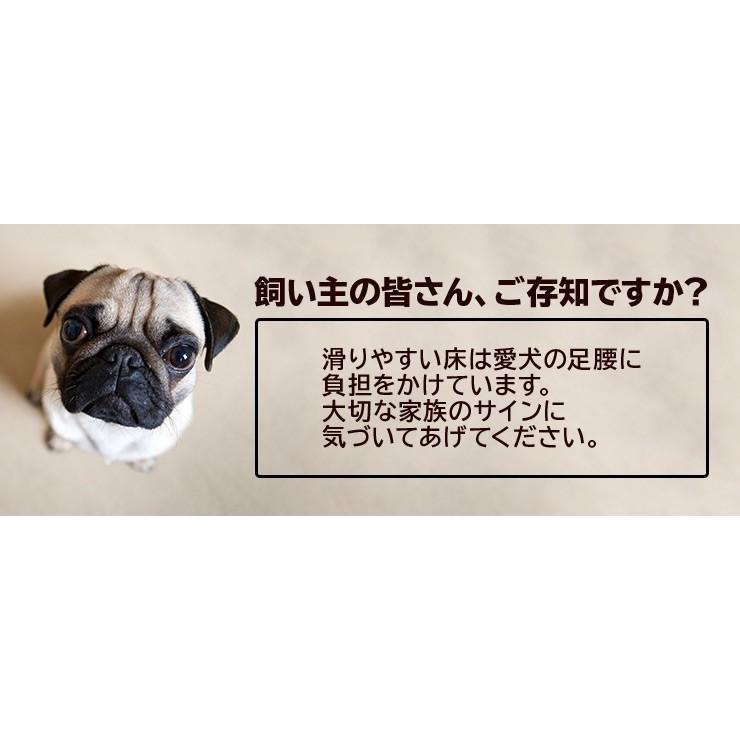 リンレイ 室内犬のためのすべり止め床用コーティング剤 シート リンレイ 室内犬のためのすべり止め床用コーティング剤 シート