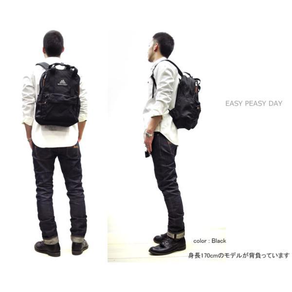 【未使用】グレゴリー GREGORY イージー ピージーデイ　リュック　アウトド グレゴリー イージーピージーデイ GREGORY EASY PEASY DAY