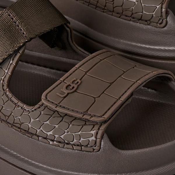 UGG（アグ） 2026SS【安心の国内正規品】 レディース ゴールデングロウ