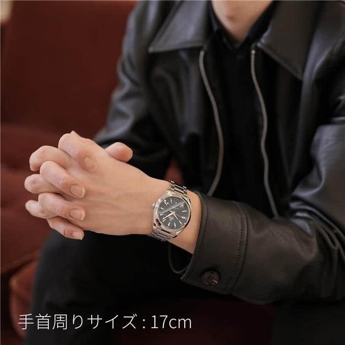 OMEGA（オメガ） シーマスターアクアテラ コーアクシャル マスター
