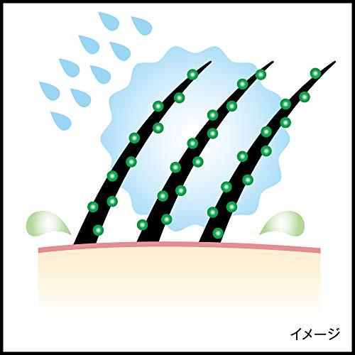 サクセスリンス サラッとタイプ つめかえ用 300ml｜gmy-0519｜05