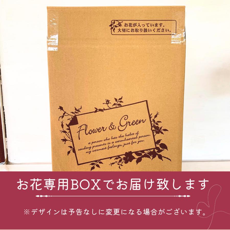 ○アジサイ○ 風姿花伝 あじさい 紫陽花 5号鉢 鉢植えアジサイ