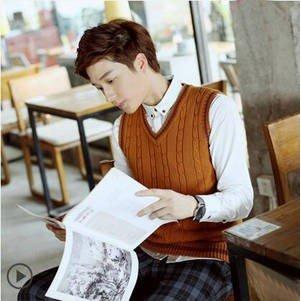 ニットベスト メンズ Vネックベスト アウター カジュアル セーター トップス ノースリーブ 冬 快適 新作 男性 着痩せ 秋 綿 送料無料 翌日発送可能 Vネックベスト