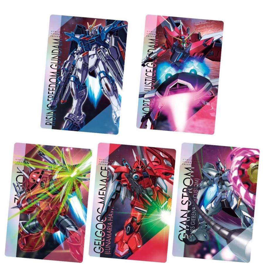 BANDAI 【新品未開封box】機動戦士ガンダムSEED FREEDOM BANDAI 【新品未開封box】機動戦士ガンダムSEED FREEDOM