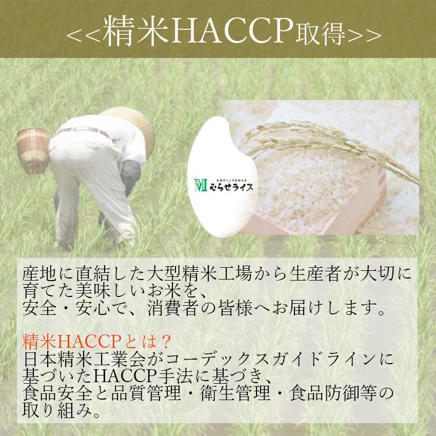 【令和5年産】米 20kg あきたこまち 秋田県産 (5kg×4) 白米 お米 ごはん 工場直送 お粥｜gochi-shop｜05