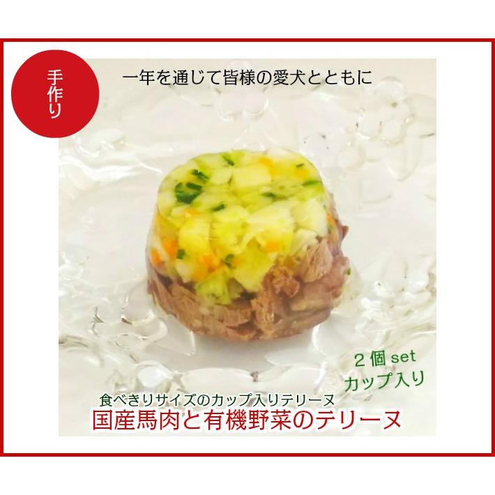犬 手作り食 ごはん 無添加 ドッグフード ギフト 誕生日 ケーキ おやつ 老犬 トッピング 国産馬肉と有機野菜のカップ入りテリーヌ Anv 5 手作り派犬ごはんの専門店ごちでり 通販 Yahoo ショッピング