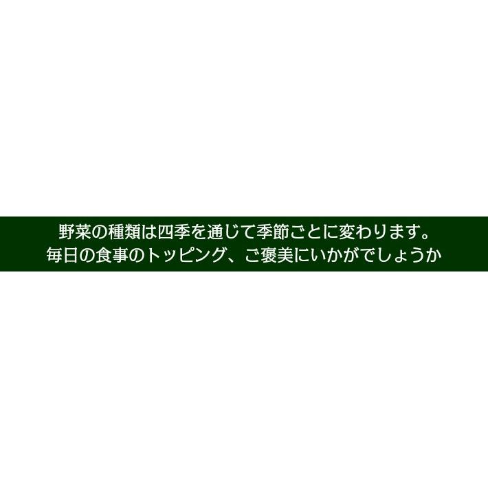 破格値下げ 犬 手作り食 ごはん 無添加 ドッグフード ギフト 誕生日 ケーキ おやつ 老犬 トッピング 国産馬肉と有機野菜のカップ入りテリーヌ Shipsctc Org